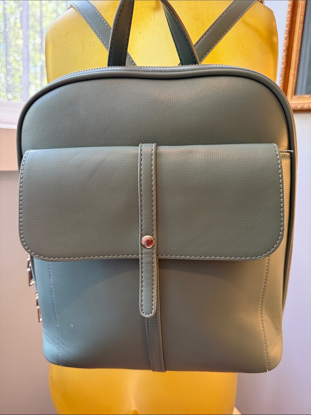 Miztique Sage Green Faux Leather Backpack